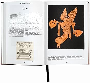 Amazon | The Book of Symbols. Reflections on Archetypal